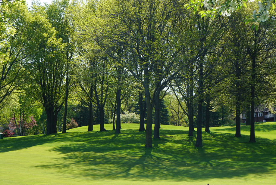 Green space