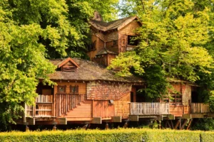 Alnwick tree house 