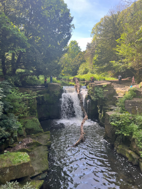 Jesmond Dene Waterfall